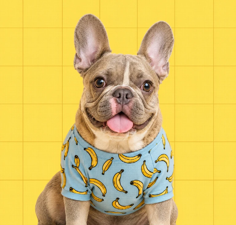 KÖPEK BAKIMI